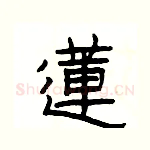 蓮