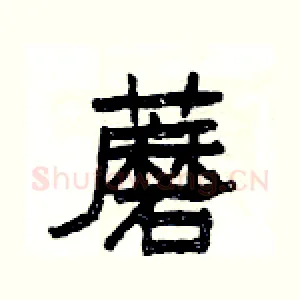 蘑