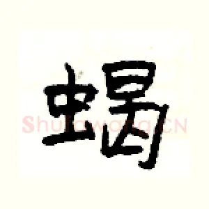 蝎