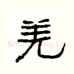 羌