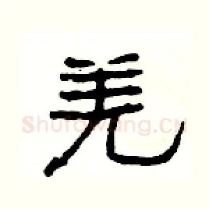 羌