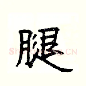 腿