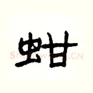 蚶