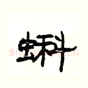 蝌