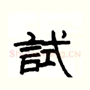 試