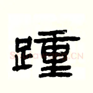 踵