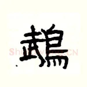 鵡