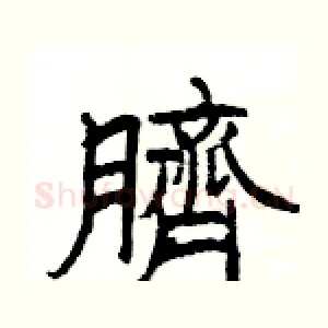 臍