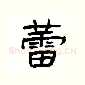 蕾