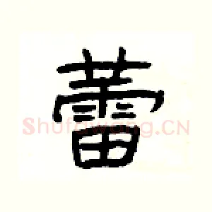 蕾