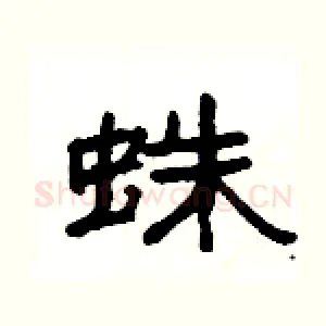 蛛