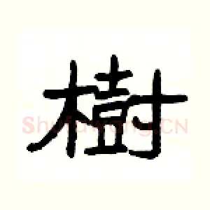 樹