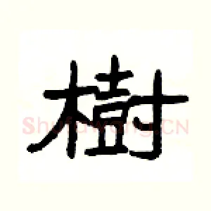 樹