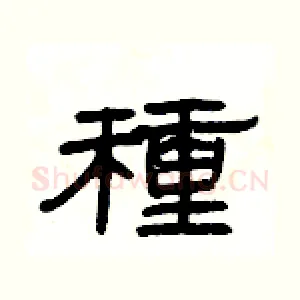 種