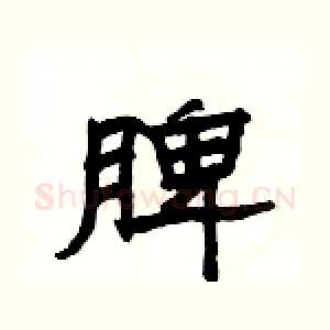 脾