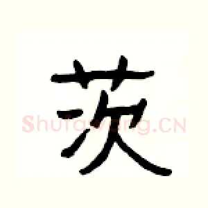 茨