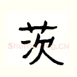 茨