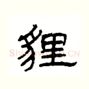 貍