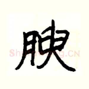 腴