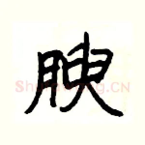 腴