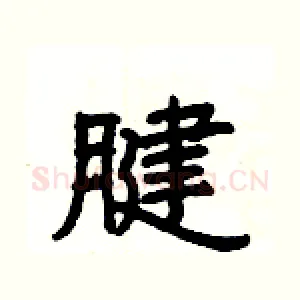 腱