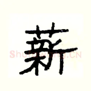 薪