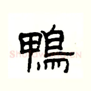 鴨