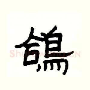鴿