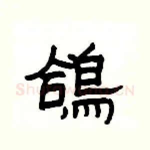 鴿