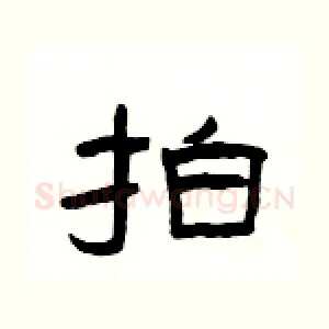 拍