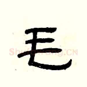 毛