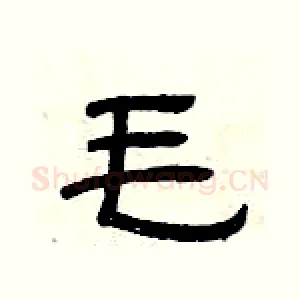 毛