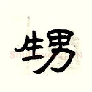甥