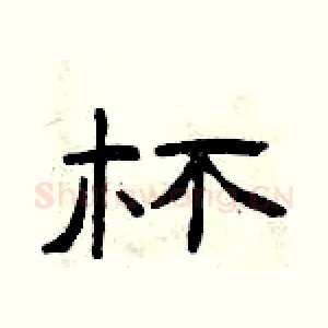 杯