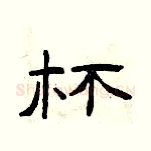 杯