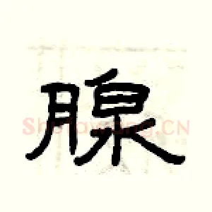 腺