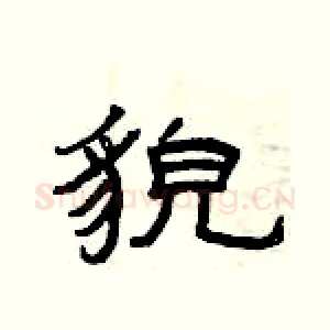 貌