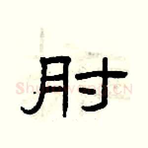 肘