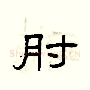 肘