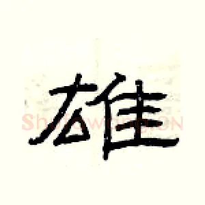 雄