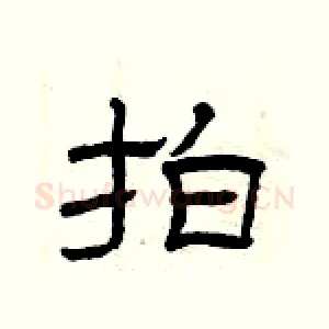 拍