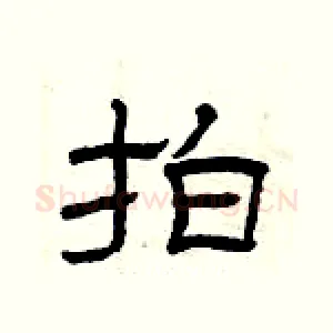 拍