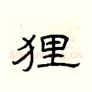 狸