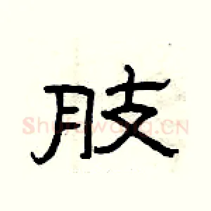 肢