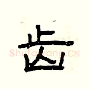 齿