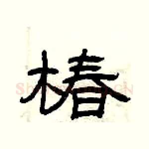 椿