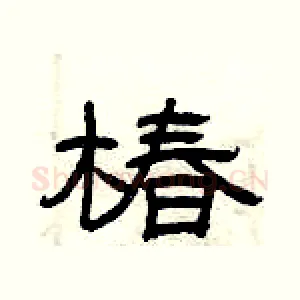 椿
