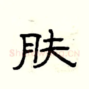 肤