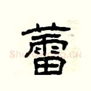 蕾