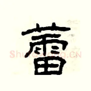 蕾